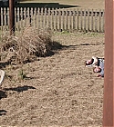 AZD-VNR143.jpg