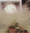 AZD-WH508.jpg