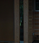AZD-BIF0956.jpg