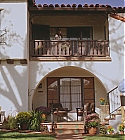 AZD-TYOSM113.jpg