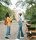 AZD-008.jpg