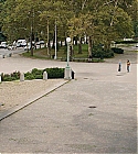 AZD-NotOkay385.jpg