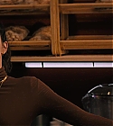 AZD-SomethingFromTiffanys152.jpg