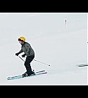 AZD-P033.jpg