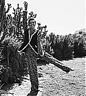 AZD-005.jpg